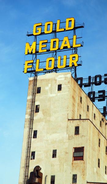Gold Medal Flour